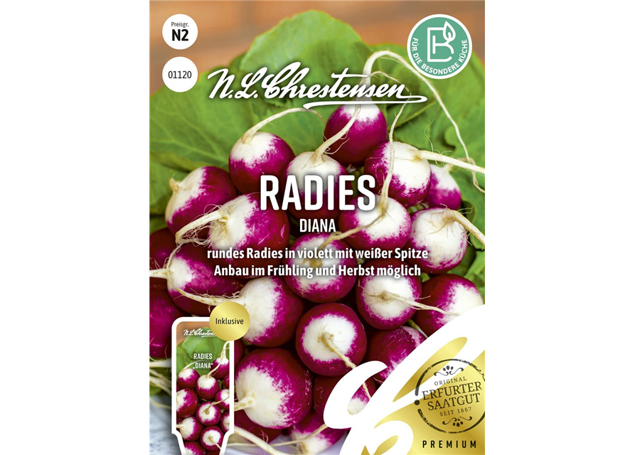 Radieschensamen 'Diana'