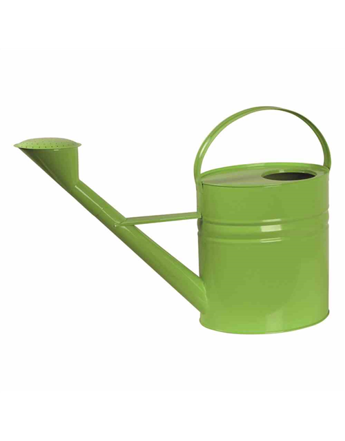 Siena Garden Gießkanne , 10 Liter, 56x19x40 cm grün Stahlblech