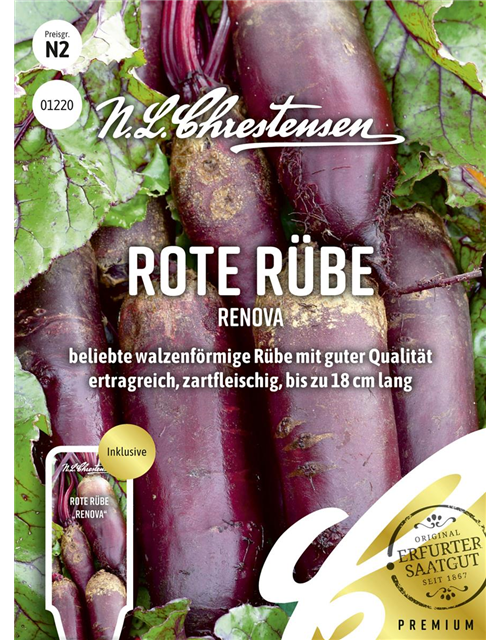 Rote Rübe-Samen 'Renova'