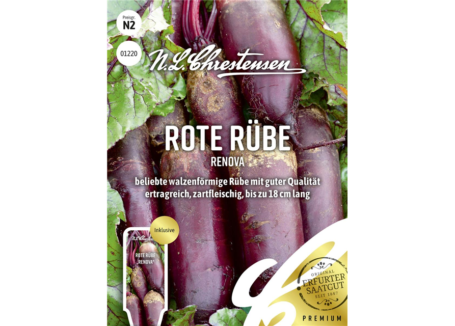 Rote Rübe-Samen 'Renova'