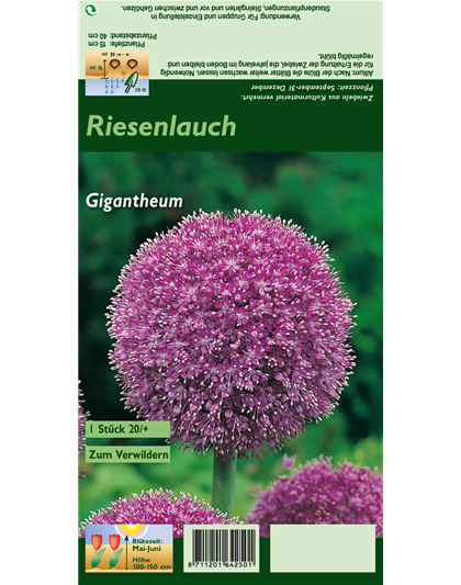 Riesenlauch