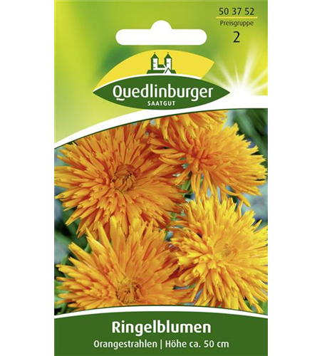 Ringelblumensamen 'Orangestrahlen'