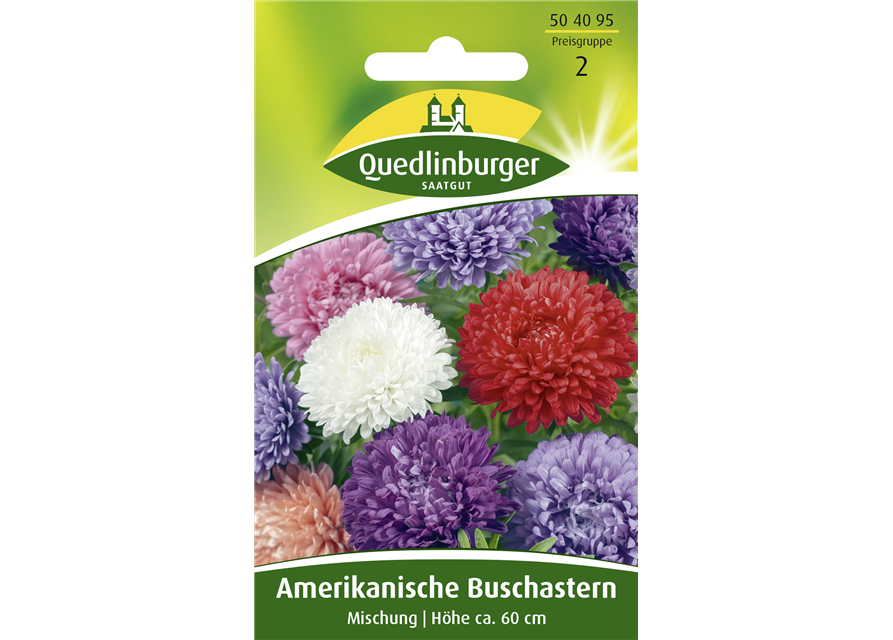 Amerikanische Buschaster-Samen