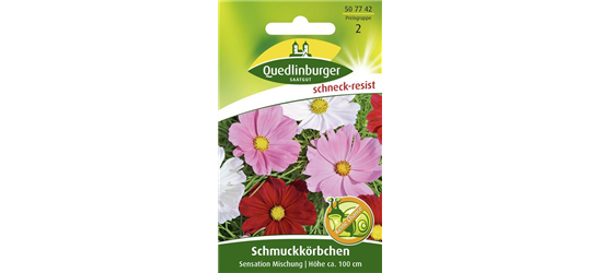 Schmuckkörbchensamen