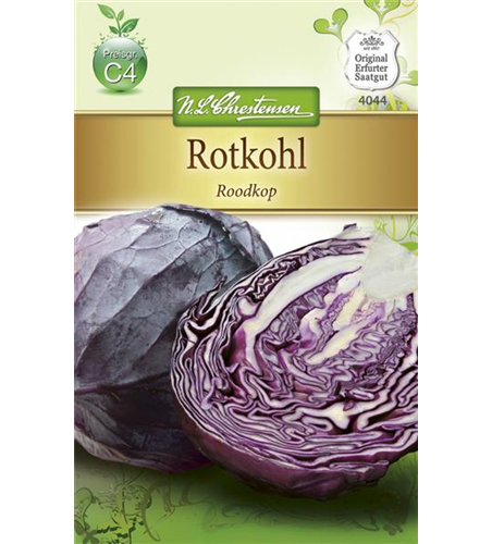 Rotkohlsamen 'Roodkop'