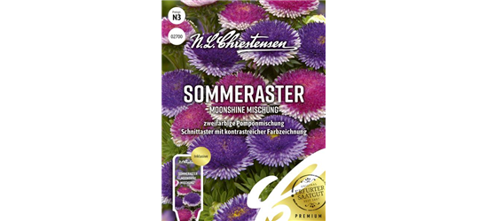 Somerastersamen 'Moonshine Mischung'