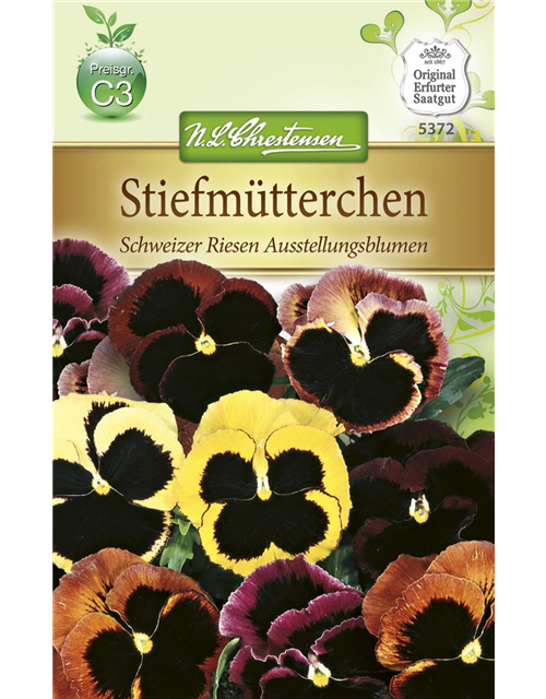 Stiefmütterchensamen 'Schweizer Riesen Ausstellungsblume'