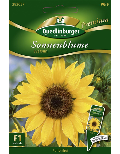 Sonnenblumennsamen 'Eversun'