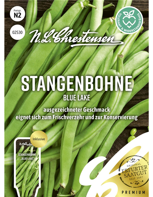 Stangenbohnensamen 'Blue Lake'