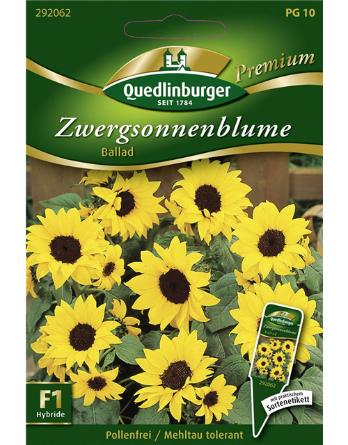 Sonnenblumensamen 'Ballad'