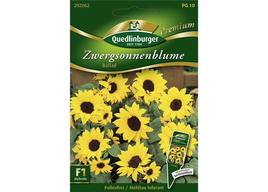 Sonnenblumensamen 'Ballad'