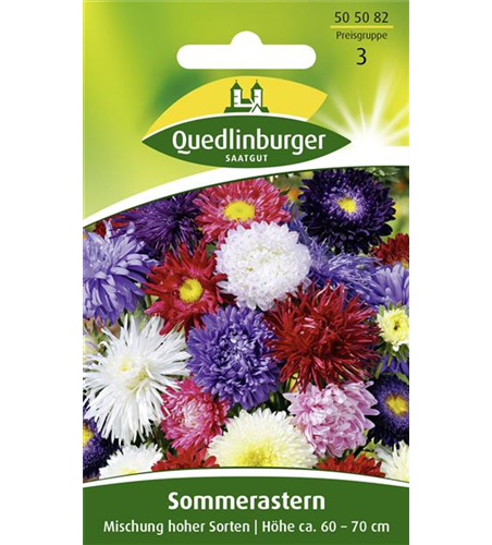 Sommerastersamen 'Hohe Sorten'