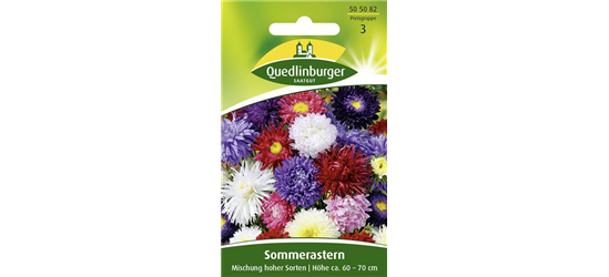 Sommerastersamen 'Hohe Sorten'