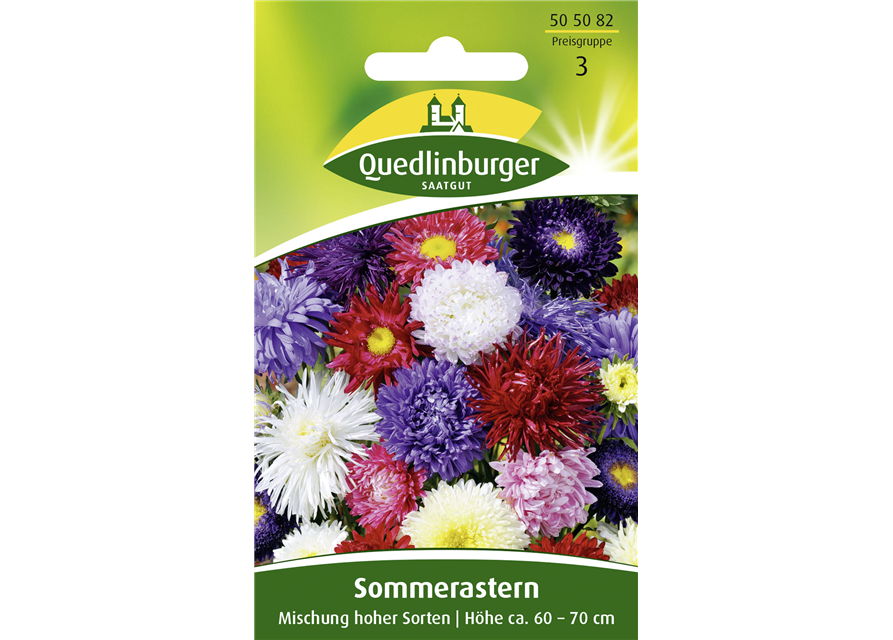 Sommerastersamen 'Hohe Sorten'