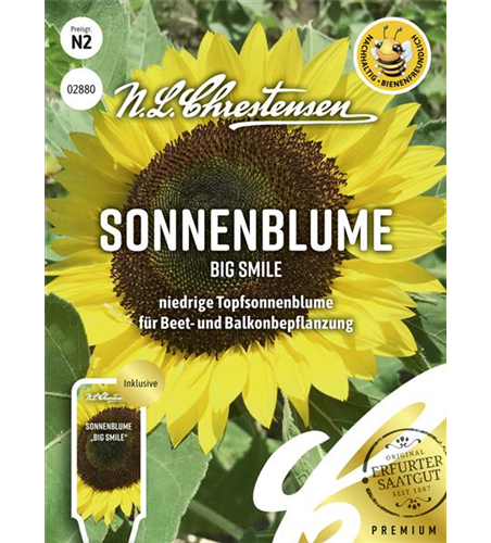 Sonnenblumensamen 'Big Smile'