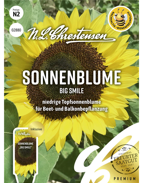 Sonnenblumensamen 'Big Smile'