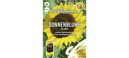 Sonnenblumensamen 'Big Smile'