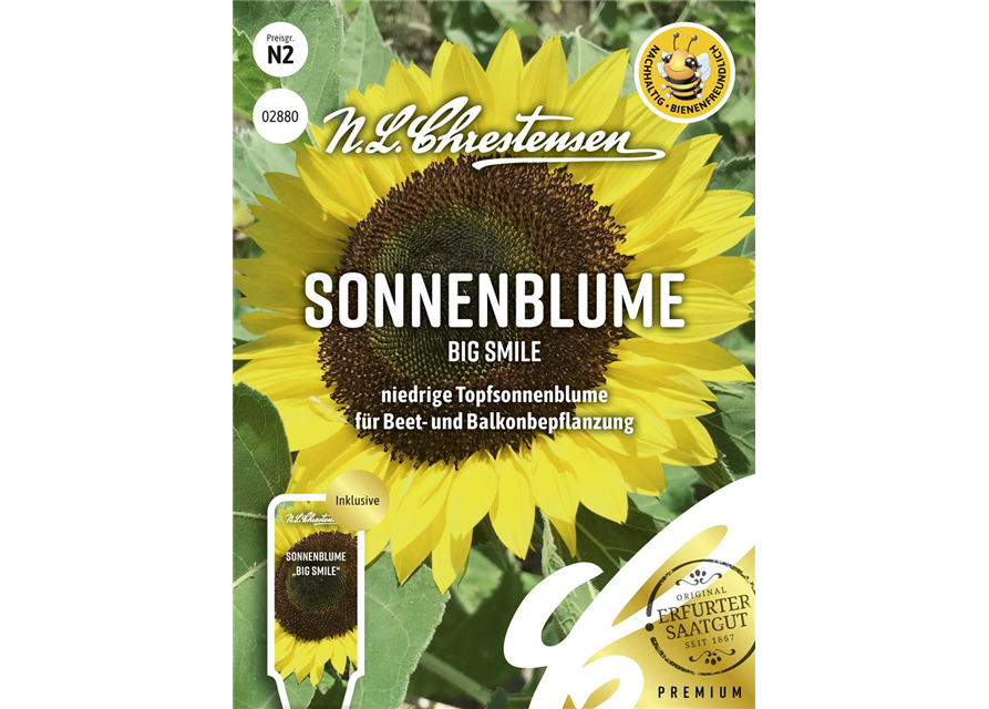 Sonnenblumensamen 'Big Smile'