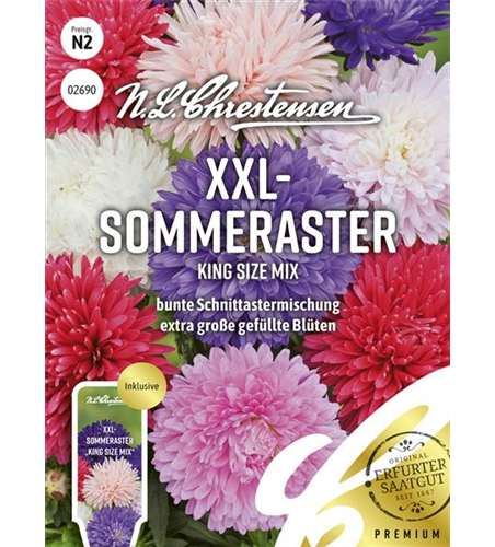 Sommerastersamen 'King Size Mix'