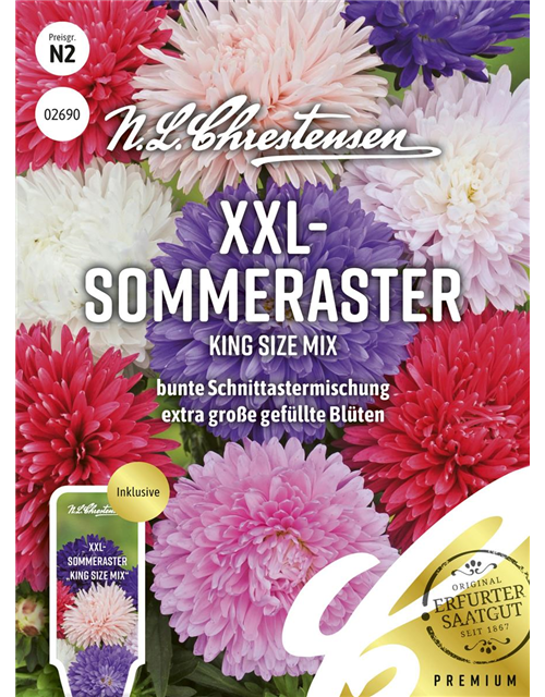 Sommerastersamen 'King Size Mix'