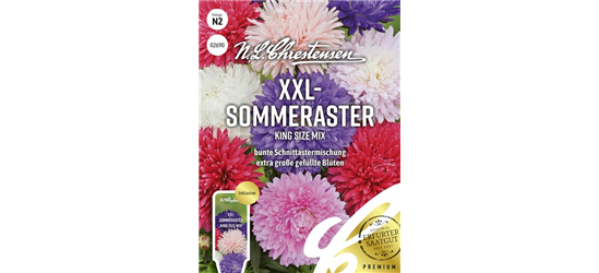 Sommerastersamen 'King Size Mix'