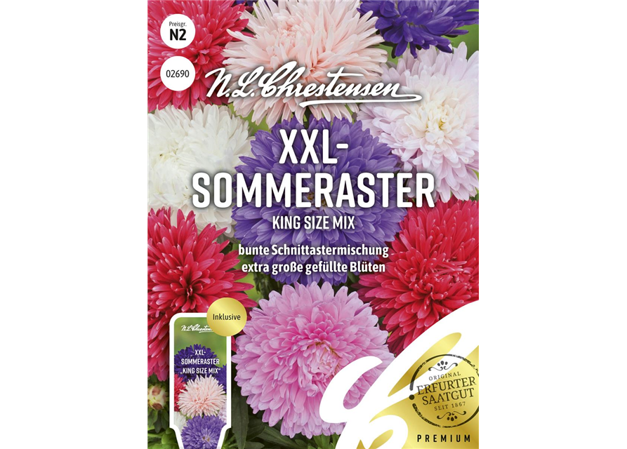 Sommerastersamen 'King Size Mix'