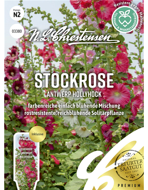 Stockrosensamen 'Antwerp Hollyhock'