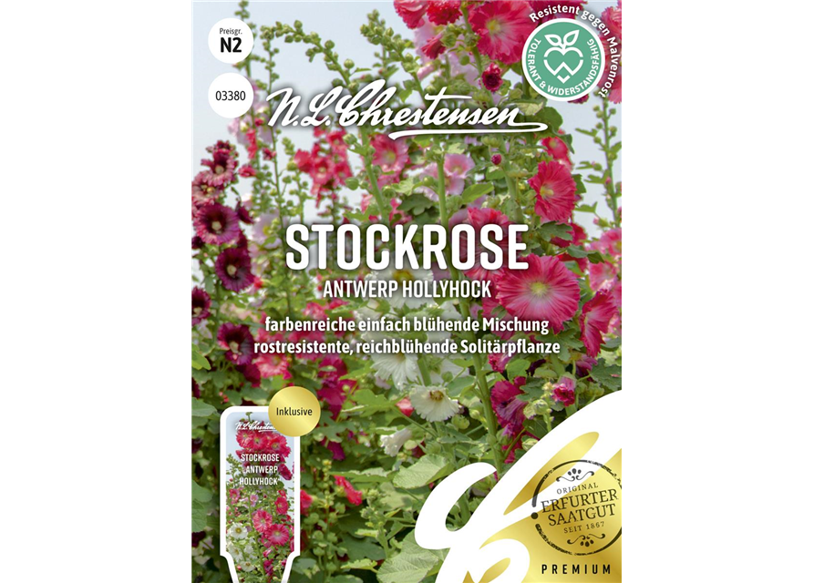 Stockrosensamen 'Antwerp Hollyhock'