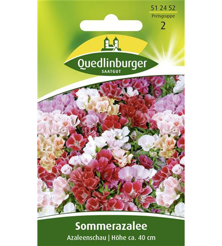 Sommerazaleensamen 'Azaleenschau'