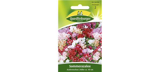 Sommerazaleensamen 'Azaleenschau'