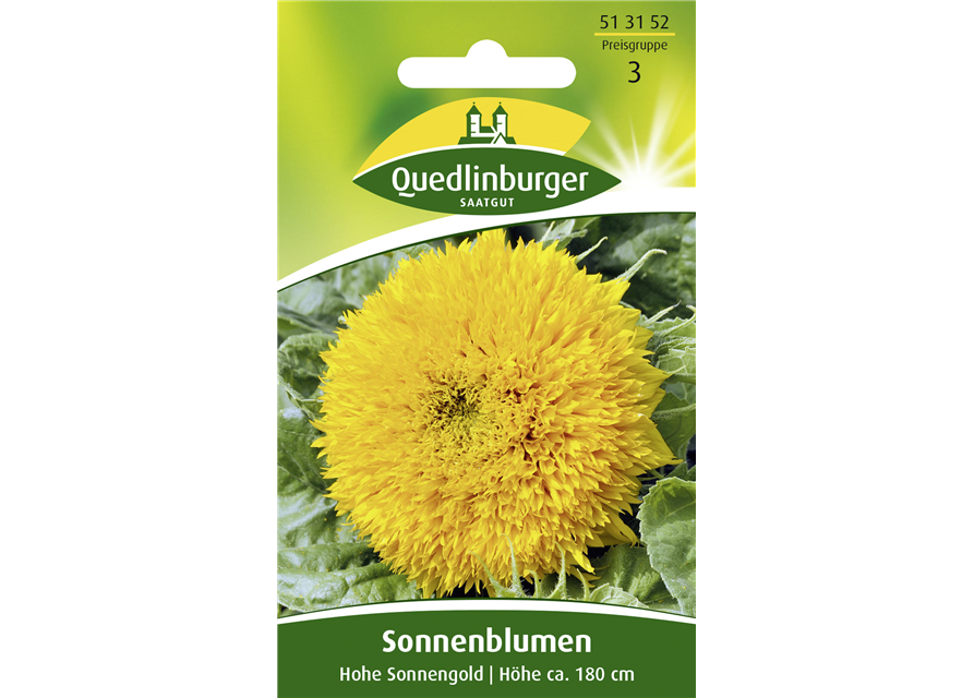 Sonnenblumensamen 'Hohe Sonnengold'