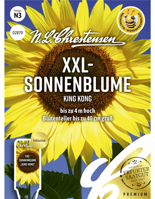 Sonnenblumensamen 'King Kong'