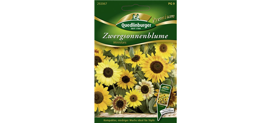 Sonnenblumensamen 'Ministars'