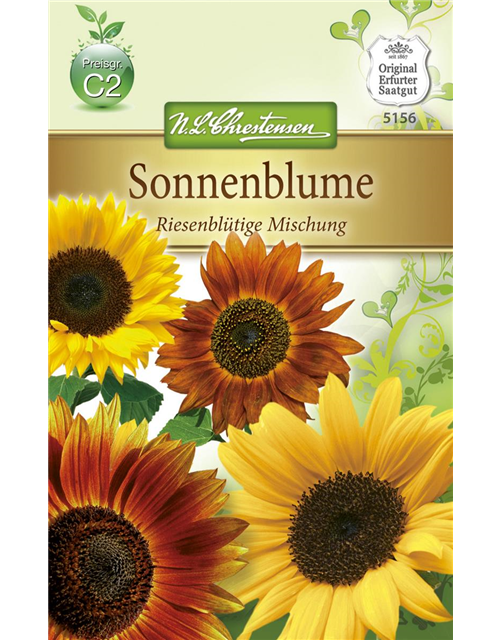 Sonnenblumensamen 'Riesenblumige'