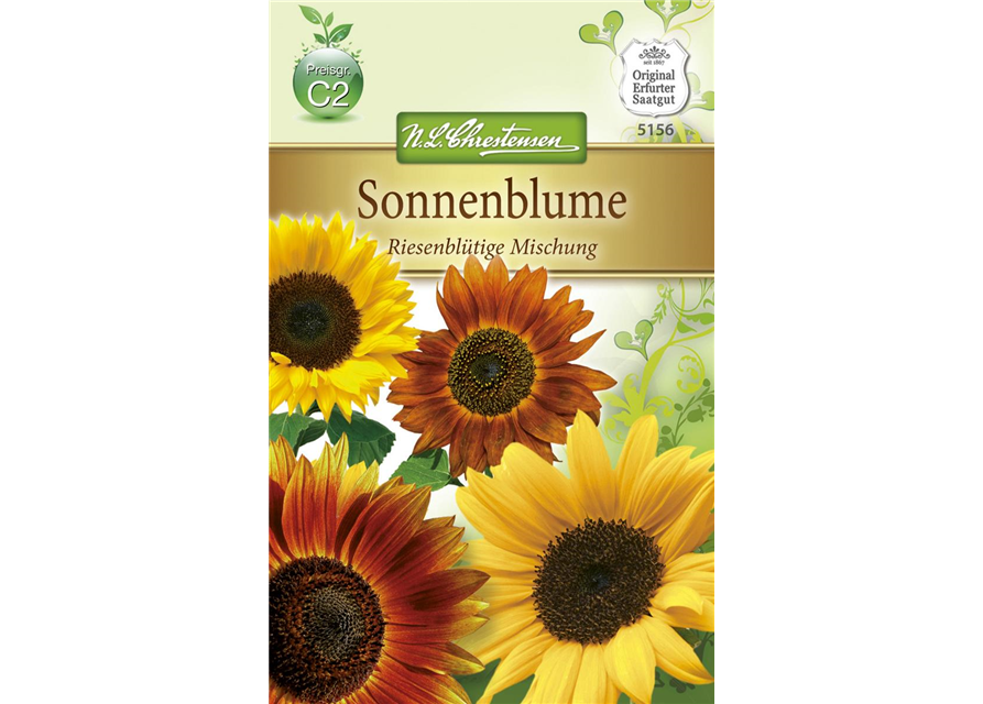 Sonnenblumensamen 'Riesenblumige'