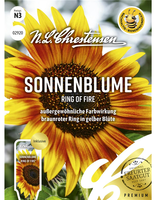 Sonnenblumensamen 'Ring of Fire'