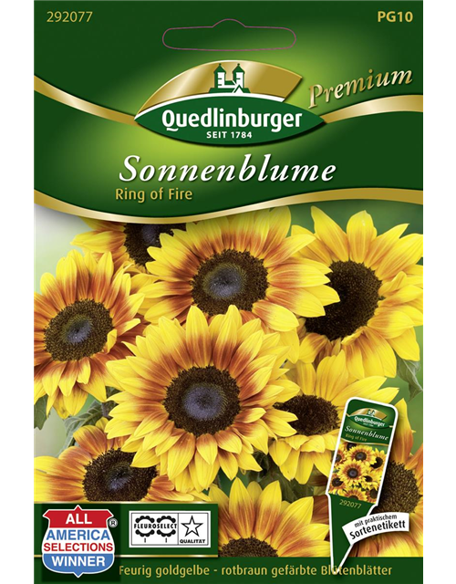 Sonnenblumensamen 'Ring of Fire'