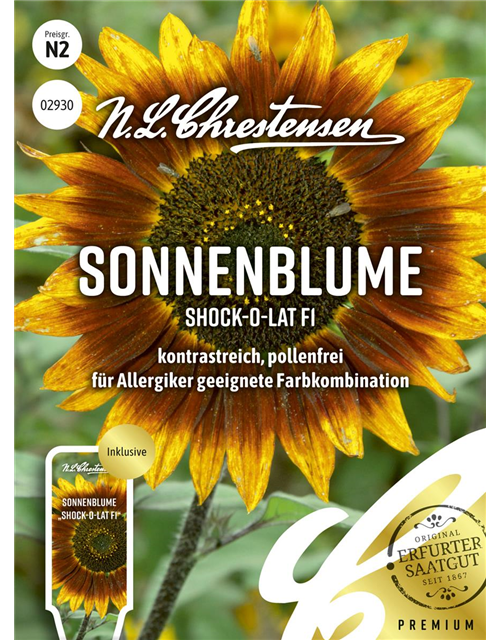 Sonnenblumensamen 'Shock-o-lat'