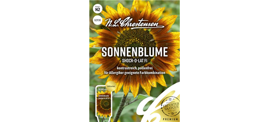 Sonnenblumensamen 'Shock-o-lat'