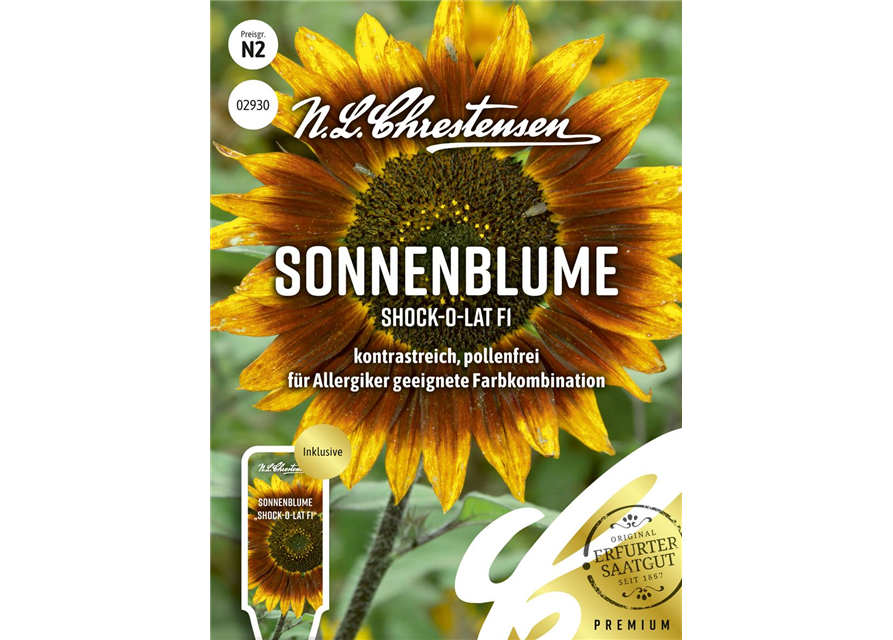 Sonnenblumensamen 'Shock-o-lat'