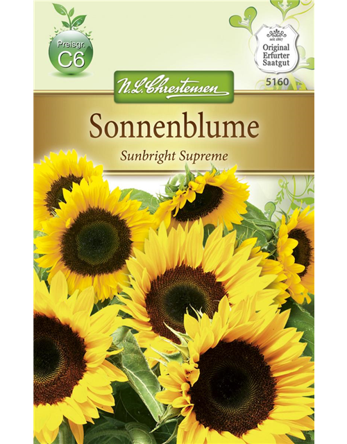 Sonnenblumensamen 'Sunbright'