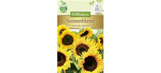 Sonnenblumensamen 'Sunbright'