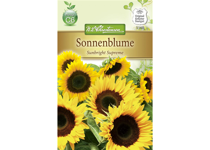 Sonnenblumensamen 'Sunbright'