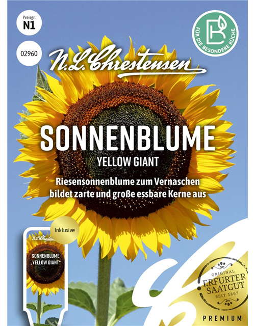 Sonnenblumensamen 'Yellow Giant'