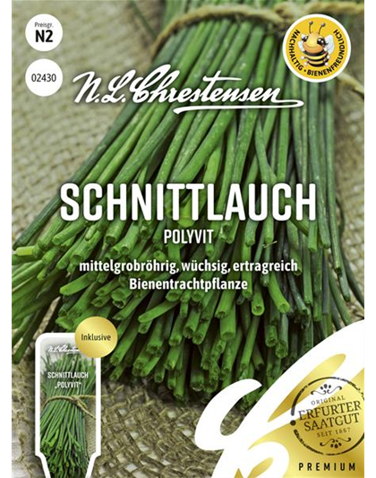 Schnittlauchsamen 'Polyvit'