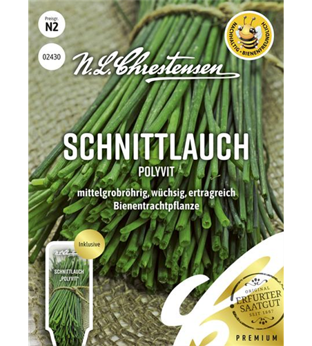 Schnittlauchsamen 'Polyvit'