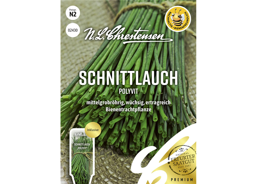 Schnittlauchsamen 'Polyvit'