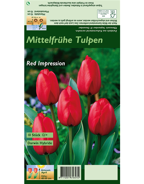 Tulpe 'Red Impression'