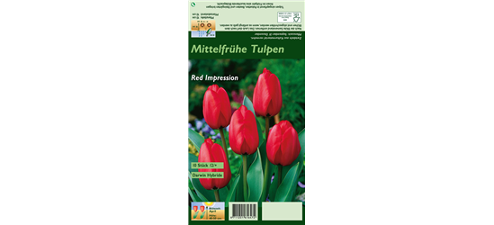 Tulpe 'Red Impression'