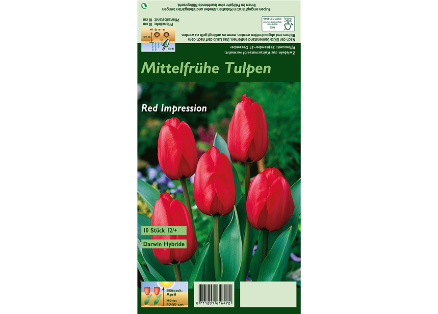 Tulpe 'Red Impression'